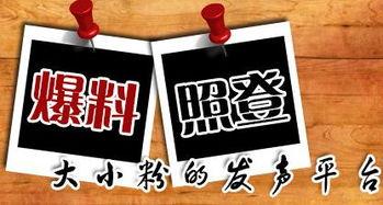 重庆新闻在哪儿能够爆料,市民爆料,聚焦民生热点问题  第1张 重庆新闻在哪儿能够爆料,市民爆料,聚焦民生热点问题  第1张